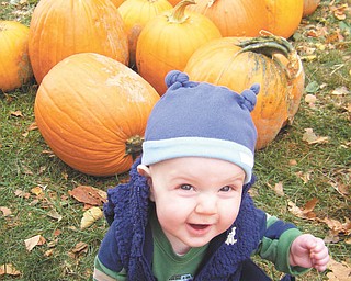 At 6 months old, Austin Wentz enjoyed picking pumpkins at White House Fruit Farm with mom and dad Chris and Chrissie Wentz of Austintown. Photo was submitted by the Wentz family.