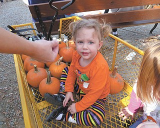 Lilyanah Miller, 22 months, is about to embark on a fall adventure at Country Side Pumpkin Patch on Route 224.