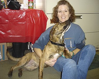 Joy Knapp, a volunteer at the Animal Welfare League of Trumbull County, gets a loving look from “Lester,” one of 162 dogs the league rescued from a Gustavus Township home earlier this year. Lester, the only dog from the group remaining at the League’s shelter, was adopted by an Austintown couple Saturday.