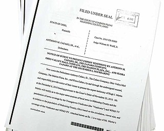Hundreds of pages of documents in the Oakhill Renaissance Place criminal case were made public Tuesday, Dec. 7, 2010.