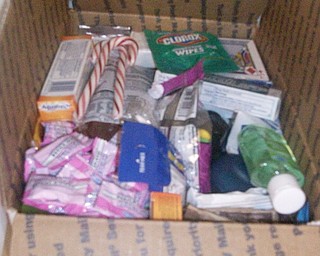 The freshmen at Struthers High School participated in The Vindicator's Operation Holiday Cheer project recently. The students put together 17 packages and wrote 180 letters to send to area soldiers.