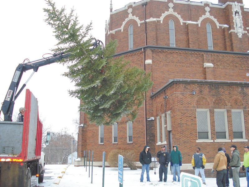 An 18-foot blue spruce is hoisted by Mashburn Tree Service after it was cut down at Southern Boulevard and Lucius Avenue in Youngstown. The tree was on property given to St. Dominic Church, which gave the tree to St. Patrick Church.
