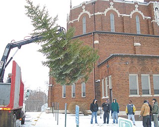 An 18-foot blue spruce is hoisted by Mashburn Tree Service after it was cut down at Southern Boulevard and Lucius Avenue in Youngstown. The tree was on property given to St. Dominic Church, which gave the tree to St. Patrick Church.