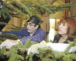 Jim Snyder and Colleen Hendel, volunteers, hang onto a bow of an 18-foot-tall blue spruce tree as its anchored in a tree holder on the altar area of St. Patrick Church on Oak Hill Avenue in Youngstown. The tree is a focal point of Christmas decor at the church.