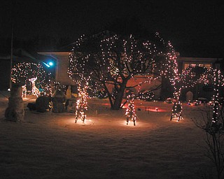 Bill Kerr’s holiday lights shine bright on his street in Poland.