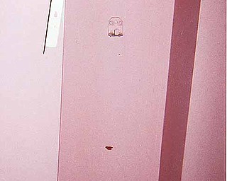 This photo of an empty fire extinguisher box was shot Nov. 30, 2010.