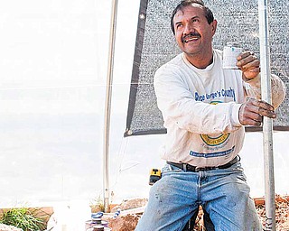You learn every day, says Jose Castillo, as he installs a water pipe at the Edmonston, Maryland Urban Farm. Castillo is a beekeeper but says he has also been involved in everything from building compost bins to watering plants.