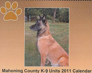 Kaz, police dog for Beaver Township, is one of several featured in the Mahoning County K-9 Units 2011 Calendar. The calendars cost $15, and proceeds will benefit several local canine units.
