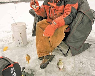 Ice Fishing is cool - delicate and light weight rods and reels are used as Jim Bakalar of Poland pulls in a crappie from Mosquito Lake.