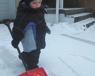 After his first sled-riding adventure, 18-month-old Jimmy Putko of Boardman decides he wants to shovel the driveway.