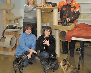 The Vindicator | Mark Stahl: Helping animals at Second Chance Animal Rescue are, from left to right, in front, Lori Osborn and Deb Alexander, and in back, Debbie Morgan and Roy Reese. They are among the volunteers preparing for the shelter’s 11th annual Night at the Races, which will take place Saturday at St. Michael Church hall in Canfield. The event is a major fundraiser for Second Chance.