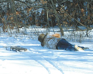 While sled riding with his grandkids at Mohawk Trails Golf Course in Bessemer, Pa., 81-year-old John Grantonic of Poland had to bail ship rather than run into the woods.