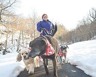 Susan Kondos walks her three dogs at Yellow Creek Park in Struthers on Thursday afternoon. Kondos, a self-proclaimed dog lover, said she’s excited for the Mill Creek MetroParks’ new membership program MetroMutts, which invites residents and their dogs into the MetroParks for throughout the year.