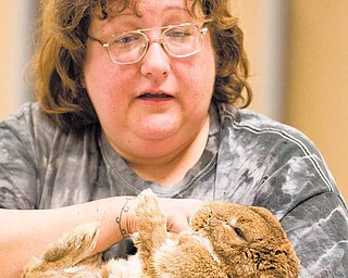 Sassy Pickard of Youngstown demonstrates bunny massage as a way to relax and bond with ones pet rabbit. Pickard is the head of the Frisky Ferrets, Fuzzies and Feathered Friends Rescue and Sanctuary or F5RS and in observance of National Adopt a Rabbit Month the group held wellness checks and classes throughout Saturday morning and afternoon at Petco in Boardman.