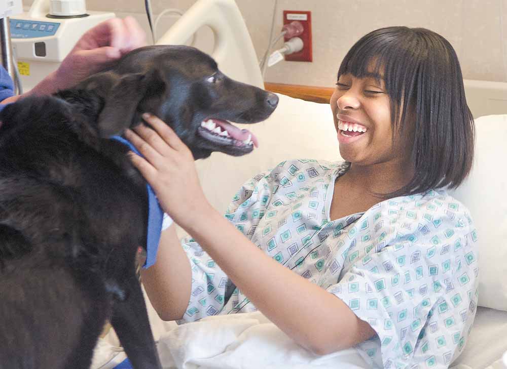 Delyon Jordan, a senior at Austintown Fitch High School, has a big smile for Jack, a therapy dog and a member of Akron Children’s Hospital of the Mahoning Valley’s new Doggie Brigade. Delyon, 17, is being treated for sickle-cell anemia.
