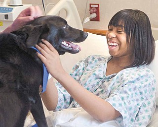Delyon Jordan, a senior at Austintown Fitch High School, has a big smile for Jack, a therapy dog and a member of Akron Children’s Hospital of the Mahoning Valley’s new Doggie Brigade. Delyon, 17, is being treated for sickle-cell anemia.