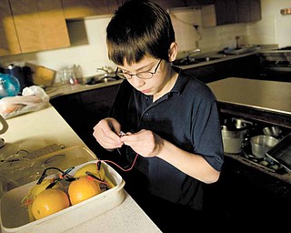 A power source that includes a zinc nail, a copper penny and two oranges and two lemons that generated enough power to light a low-energy diode is the project that Walter Woods, 10, will present at the upcoming science fair at Youngstown State University. The McGuffey School fifth-grader is shown here during a session of the after-school science program at West Side Community Center.