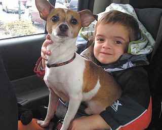Jimmy Lipjanic, 3, became immediate best friends with Diesel, his pet rescue dog from Animal Charity. Here they are, riding home to Boardman. Jimmy's parents are Jim and Candace Lipjanic, and Candace sent in the photo.
