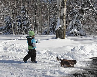 Karen Hum sent in this photo of her niece Jayli Wilt. She had told Jayli while they were outside playing in the snow not to throw the snowballs at her because Karen had her camera. With two huge snowballs in her hands, Jayli then turned her attention to Karen's dog, Lucy.