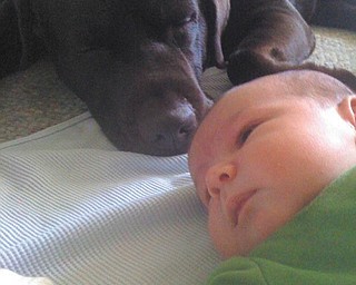 Eight-week-old Samuel James Jackson relaxes with the family dog, Moose. Parents are Sam and Lisa Jackson of Poland, who submitted the photo.