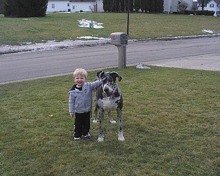 Do you think they see eye-to-eye on a lot of things? Samuel Pacora, son of Sam and Sherri Pacora of Girard, enjoys some unseasonably warm weather with Mel while visiting Jackie Cannatti in Poland, who is Samuel's aunt.