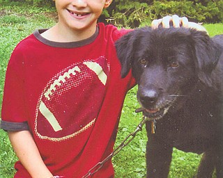 Asael Antelman, 9-year-old son of Barbara Kausits of Brighton, Mass., was playing with Babe when his sister Natiya, 18, took this picture. He and his family were visiting his grandmother, Nancy Kausits of Youngstown, last August. Autumn Kausits of Youngstown, his aunt, submitted the photo.