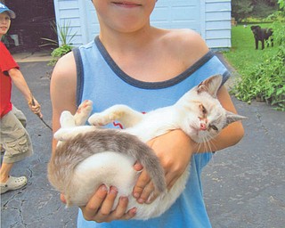 Asael Antelman, 9-year-old son of Barbara Kausits of Brighton, Mass., was playing with Saty Sue when he and his family were visiting his grandmother, Nancy Kausits of Youngstown, last August. His sister Natiya, 18, took this picture, and his aunt, Autumn Kausits of Youngstown, submitted it.