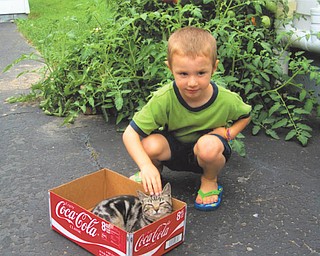 5-year-old Yashar Antelman is playing with Rascal Flatts while visiting his grandmother, Nancy Kausits of Youngstown, last August. His sister Natiya, 18, took this picture, and his aunt, Autumn Kausits of Youngstown, submitted it. He is the son of Barbara Kausits of Brighton, Mass.