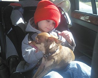AJ Holtzman, 2 1/2 years old, likes to take his dog Nino along for car rides. And Nino likes to ride on AJ's lap! His parents are Allen and Melinda Holtzman of Charlotte, N.C., formerly of Poland.