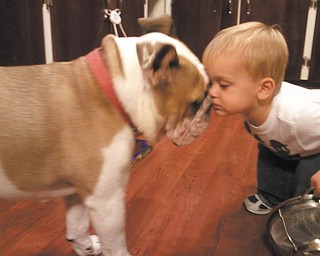 Mary Rose Nordquist sent this picture of her grandson, A.J. Maloney, with his dog, (her "grandpuppy") Wembley, an English bulldog. A.J. was 18 months old when the photo was snapped by his mom, Jenn Maloney of Boardman.