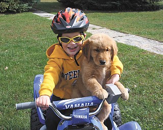 Gordon Sonntog of East Liverpool is playing with Sadie, who belongs to his gandparents, Randall and Debra Sonntog of Wellsville. Gordon is 3 years old, and Sadie was 3 months old.