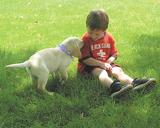 Finn O'Hara of Hubbard plays with Scout, a Labrador puppy.