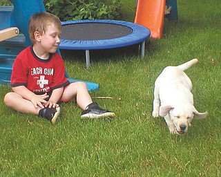 It looks as if Finn O'Hara of Hubbard and Scout, a Labrador puppy, are sharing a joke while they play.