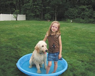 Lynnette Holland of Girard submitted this photo of her goldendoodle Jaxon, who is sharing his pool with his cousin Marissa Wilson.