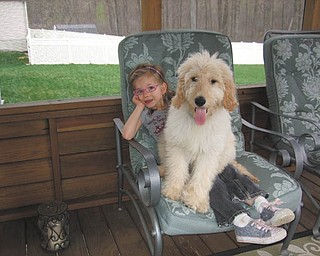 Jaxon, a goldendoodle who belongs to Lynnette Holland of Girard, doesn't think he's too big to be a lap dog as he relaxes with his cousin Marissa Wilson. Photo submitted by Lynnette Holland.