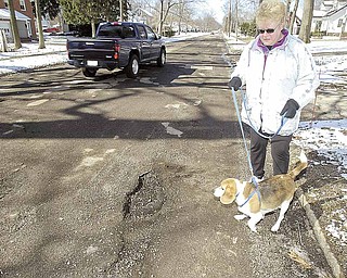 A woman walks her dog on Lyon Boulevard. The Poland Township road is riddled with potholes, and the Mahoning County Engineer’s Office plans to improve the road this summer.