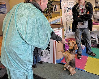Liberty Tax Service marketing manager Troy Green feeds his dog, Hush, during an adoption event Saturday afternoon in Boardman.