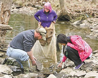 Kassidy Vath, center, works with Sean McGuire, of Mahoning County Soil and Water, and Theresanne Garcia, as they search for organisms in the Ax Factory Creek Wednesday. Both girls are in eighth grade at Volney Rogers Middle School.