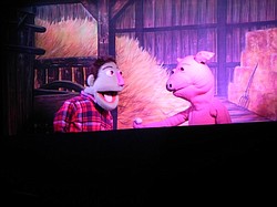 photo