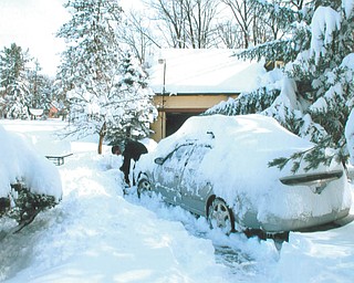 A very snowy winter here in the Valley should make folks want to remember what it's like without all of that snow! Photo submitted by Lana Van Auker of Canfield.