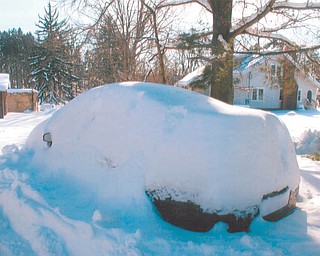 Lana Van Auker of Canfield sent in this photo of a "snowmobile."