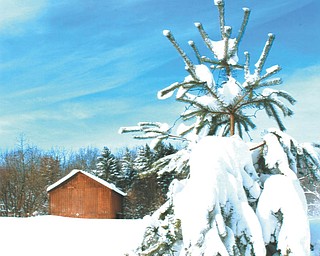 After seeing so much snow, it's time for some warm weather! Photo submitted by Lana Van Auker of Canfield.