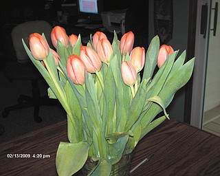 Lorraine Snyder of Canfield, who submitted this photo, uses this as her springtime screen-saver. She received the tulips for Valentine's Day a couple of years ago.