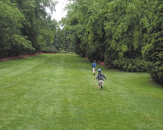 Gavin and Anderson Ward, both from Canfield, play at Fellows Riverside Gardens. Photo submitted by Ryan Ward.