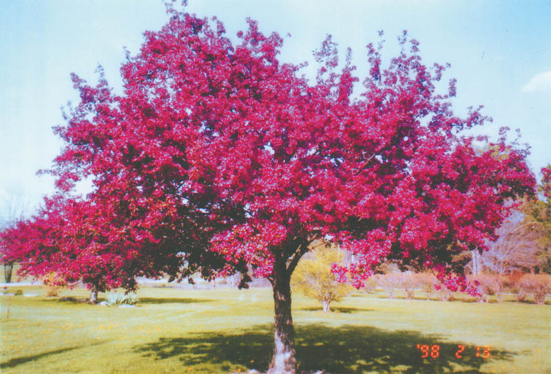 Photo detail