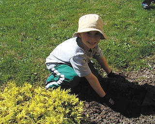 Andrew Hazy of Mrs. Bond’s kindergarten class at St. Patrick School in Hubbard plants spring bulbs in front of the school. Photo sent in by Roberta Robinson.