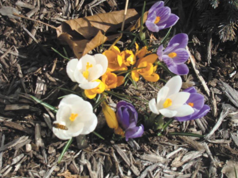 Photo detail