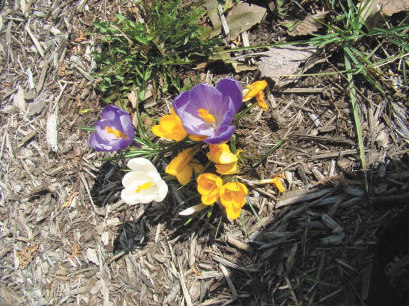 Photo detail