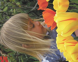 Connie Spin of Boardman sent in this photo of her daughter Noelle, who was 4 at the time, smelling the neighbor's tulips. Noelle is 6 and still looks forward to the spring flowers.
