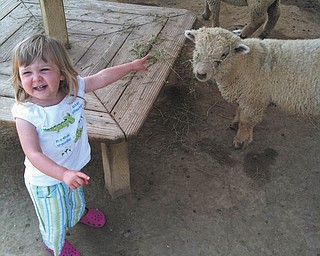 It doesn't matter to Alexis Kemble if March ever goes out like a lamb; she just likes to have fun at the petting zoo! Alexis is the granddaughter of Gary and Margie Kemble of Canfield, who submitted the photo.